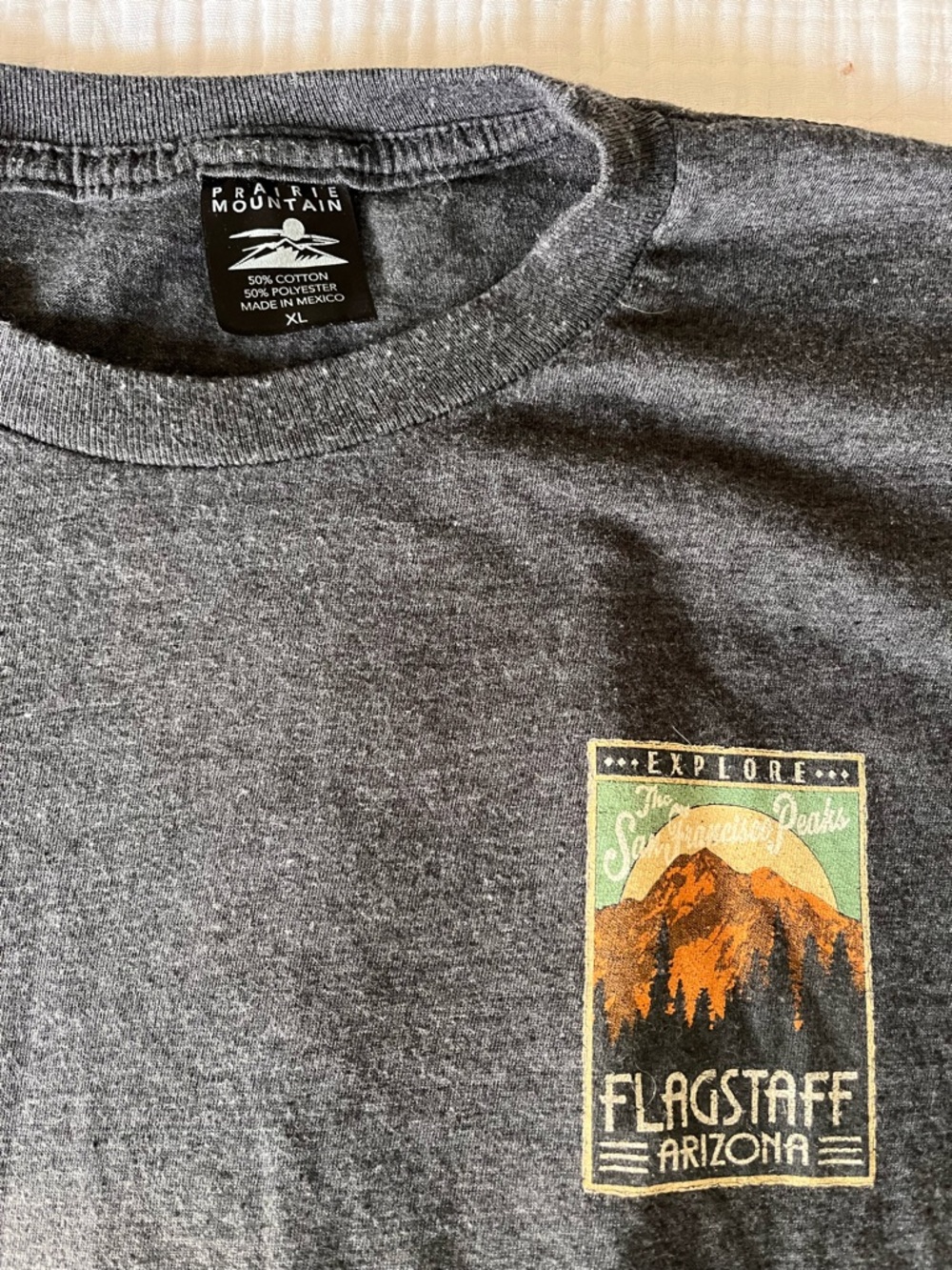 Men's Gray Flagstaff Graphic Tee